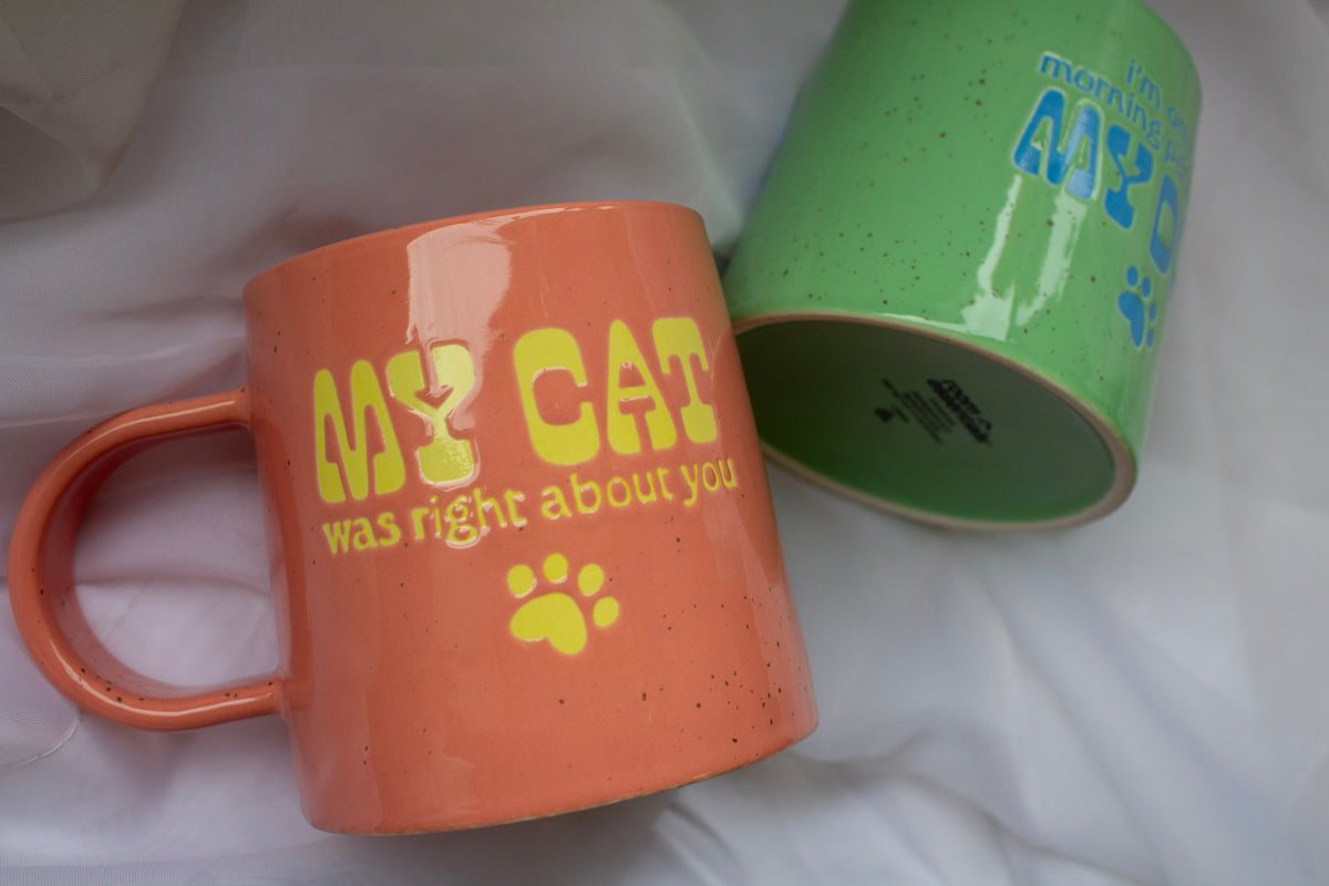 My Cat was Right About You