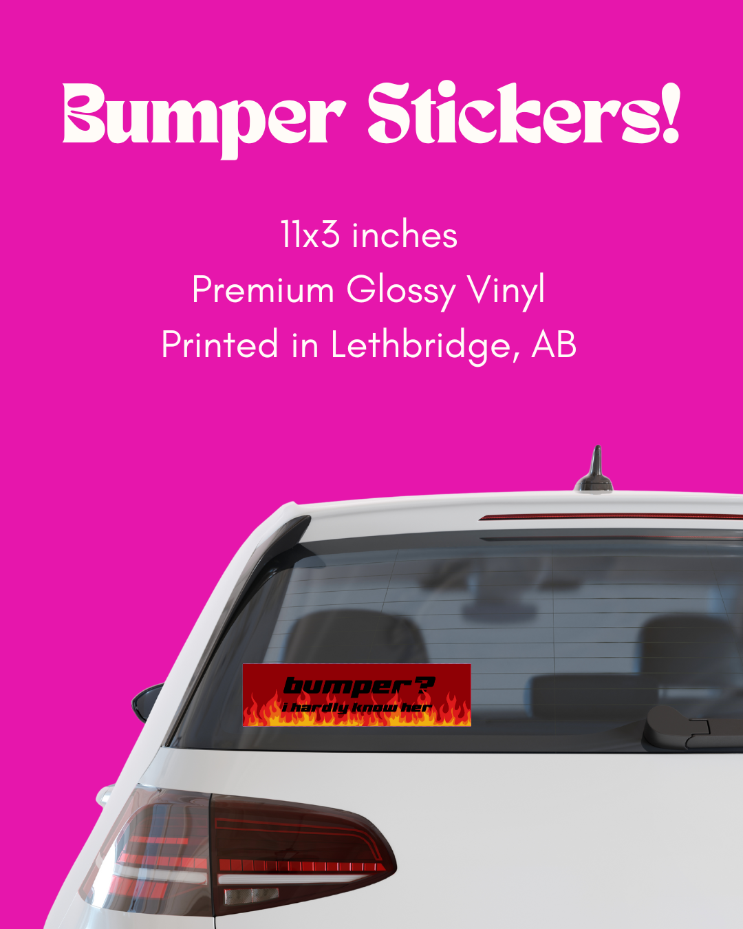 Bumper? I hardly know her Bumper Sticker
