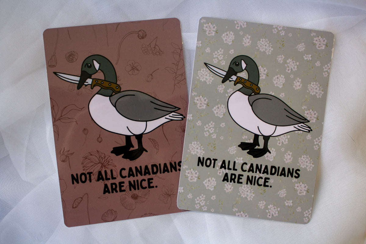 Canadian Goose Kindle Insert