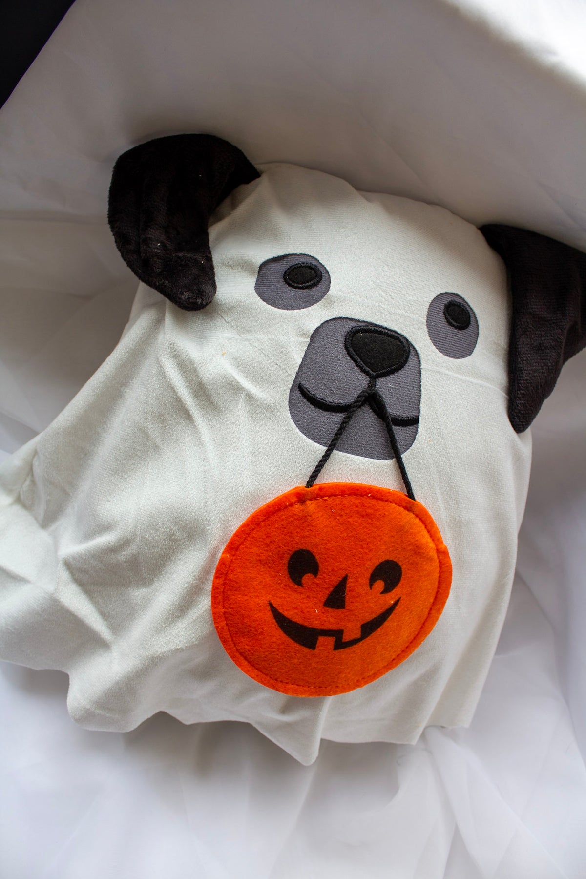 Halloween Dog Pillows