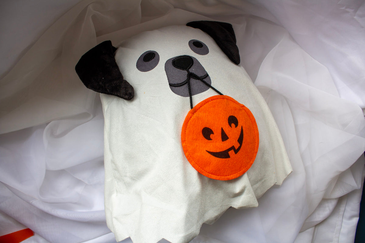 Halloween Dog Pillows