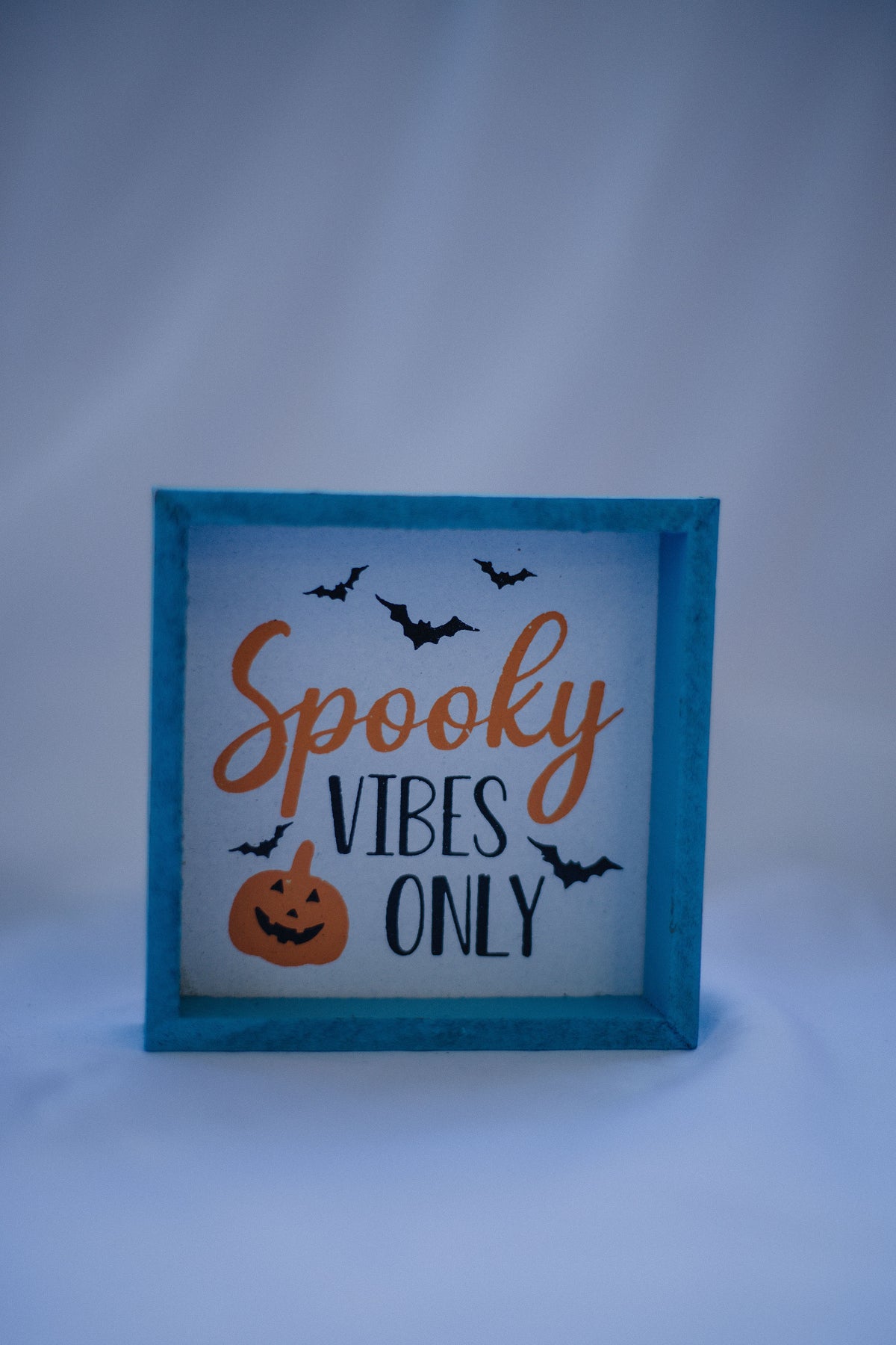 Spooky Vibes Only Mini Sign