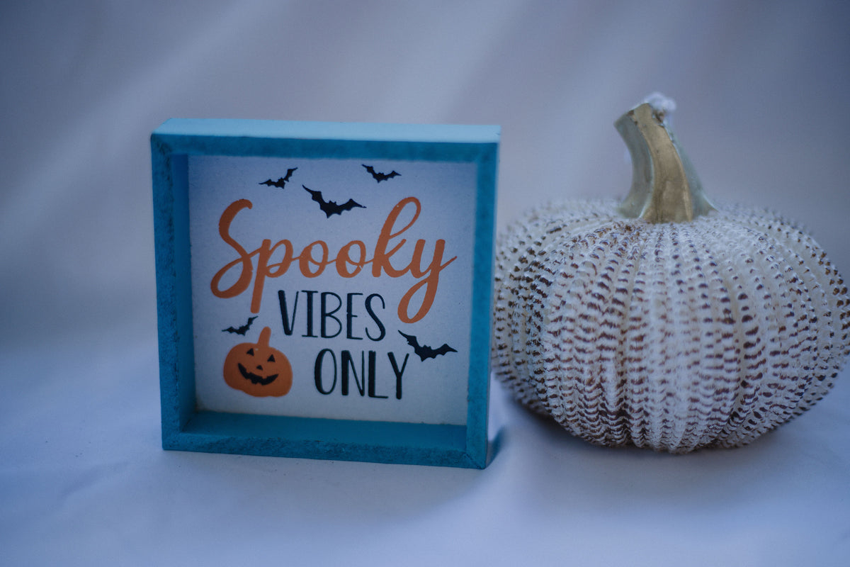 Spooky Vibes Only Mini Sign
