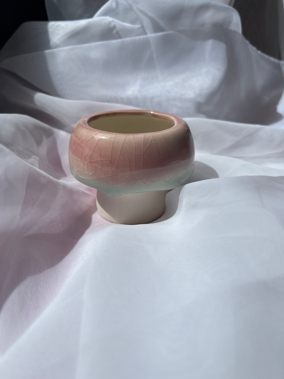 Pink Mushroom Pot