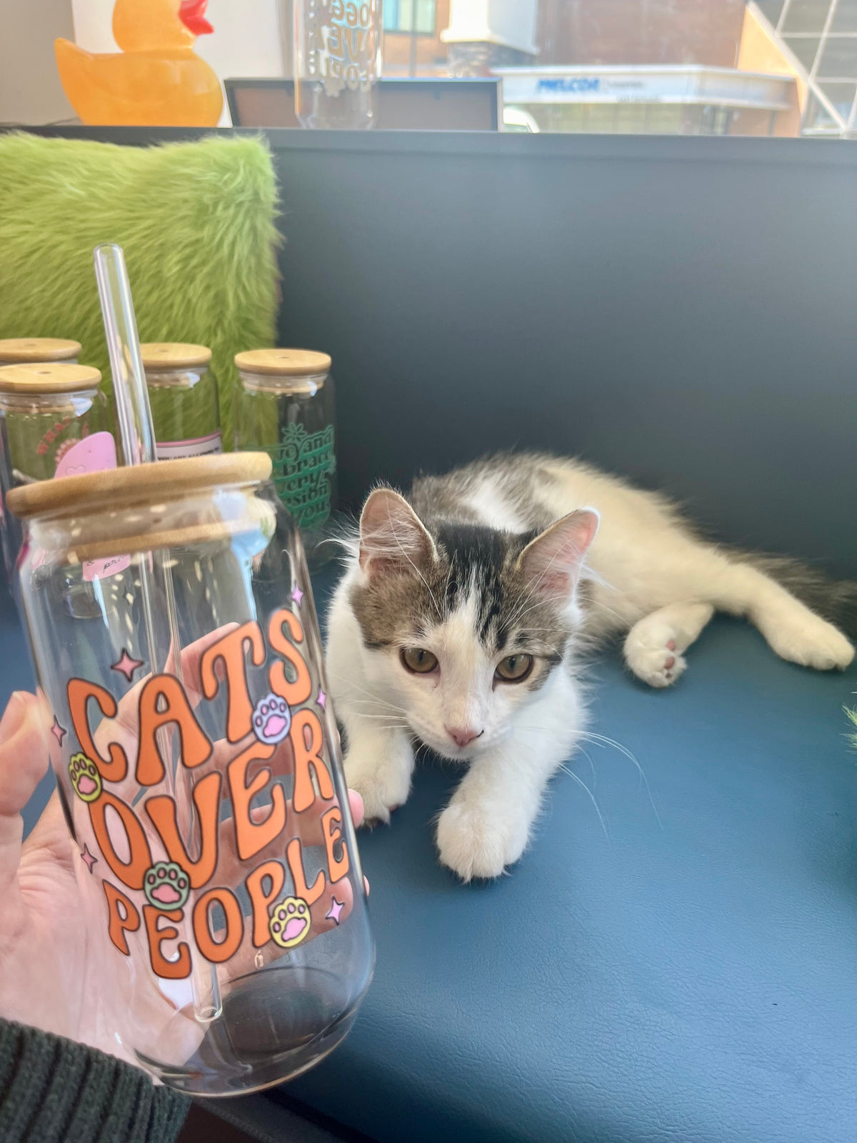 Cats Over People Cup | Glass Tumbler