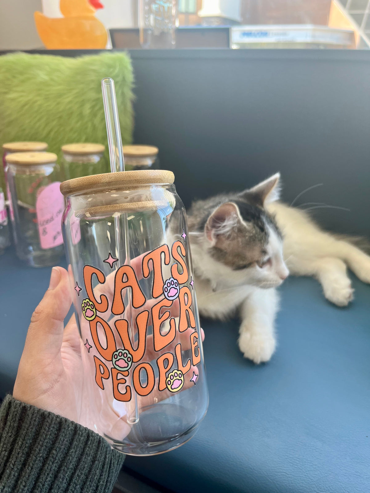 Cats Over People Cup | Glass Tumbler