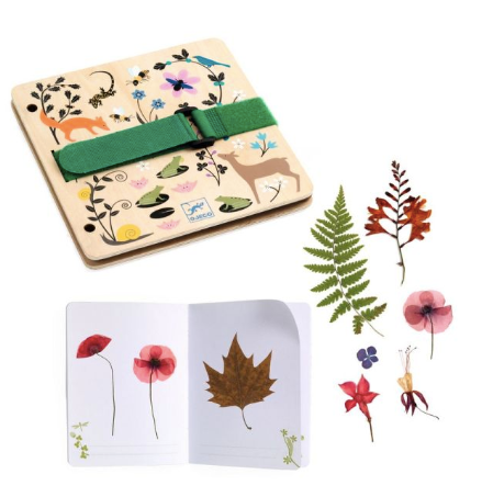 Budding Botanist Plant Press & Herbarium