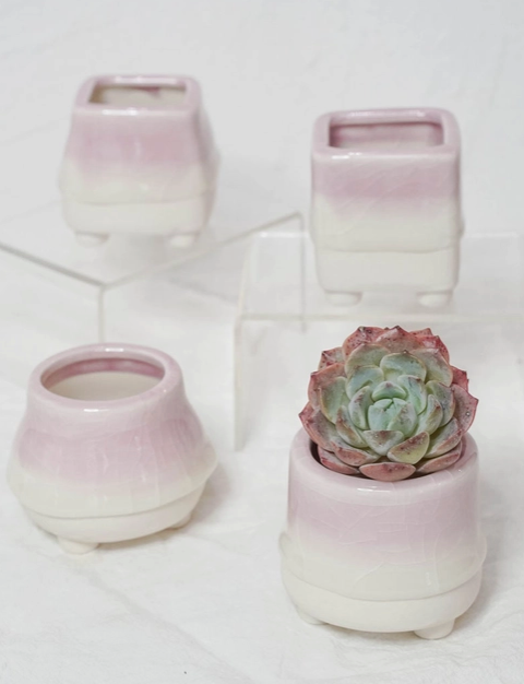 Small Pink Pot